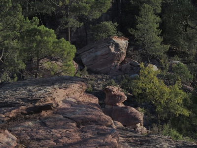 Corbeteras. Pajaroncillo