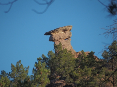 Corbeteras. Pajaroncillo