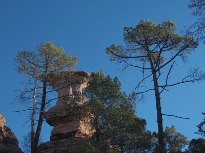 Corbeteras. Pajaroncillo