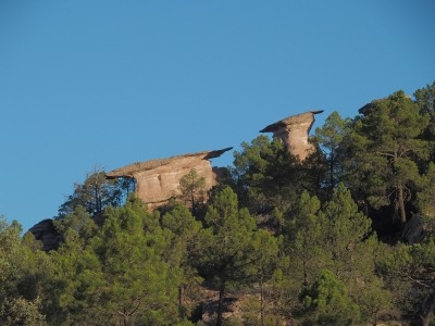 Corbeteras. Pajaroncillo