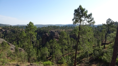 Ceñajo del Arte. Boniches
