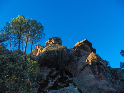 Corbeteras. Pajaroncillo