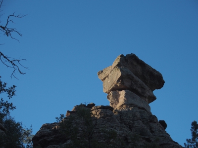 Corbeteras. Pajaroncillo