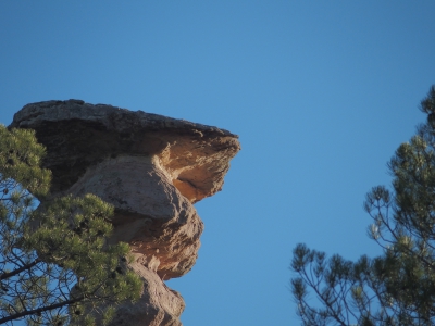 Corbeteras. Pajaroncillo