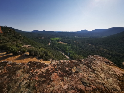 Miradores. Corbeteras. Pajaroncillo__