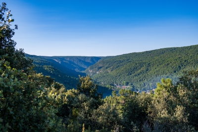 Hoz de Beteta. Beteta.-