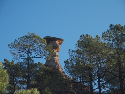 Corbeteras. Pajaroncillo