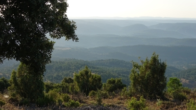 El Pozuelo. Panoramica_