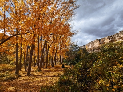 Otoño. Cuenca__