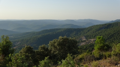 El Pozuelo. Vista Panoramica