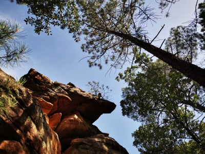 Villar del Humo. Selva Pascuala__ Villar del Humo. Selva Pascuala__
