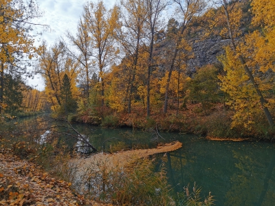 Otoño. Cuenca__