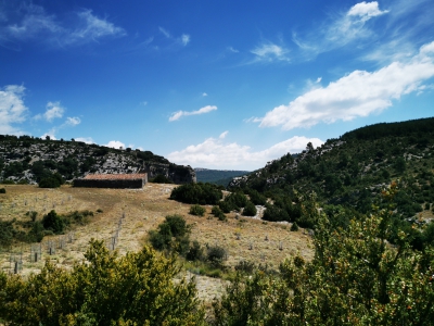 Zafrilla__ Zafrilla__