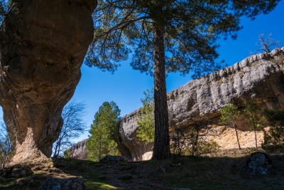 Ciudad Encantada. Cuenca.-