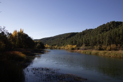 Embalse de Chincha. Puente de Vadillos.