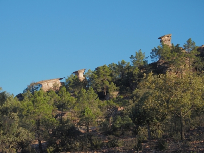 Corbeteras. Pajaroncillo