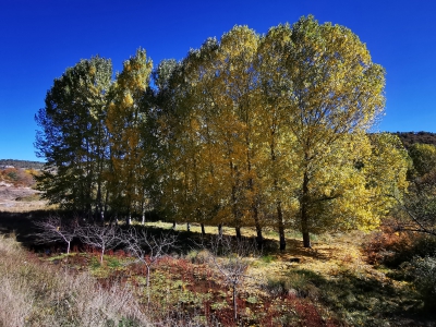 Laguna del Marquesado.