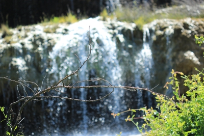 La Balsa. Valdemoro de la Sierra_