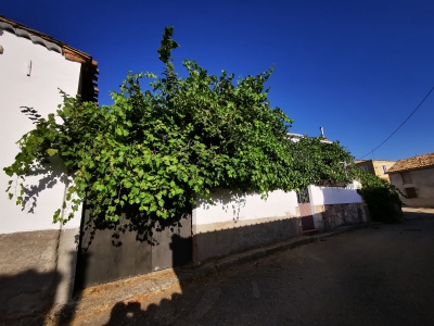 Castillejo de la Sierra__