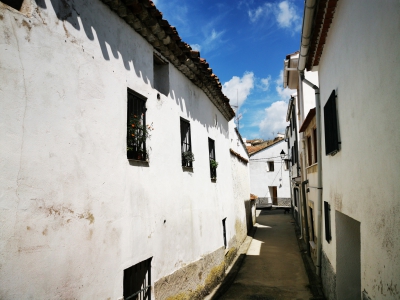 Zafrilla__ Zafrilla__