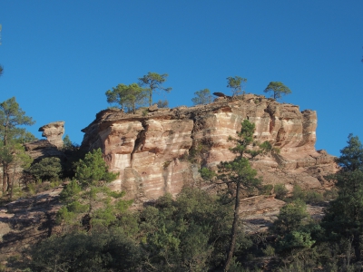 Corbeteras. Pajaroncillo