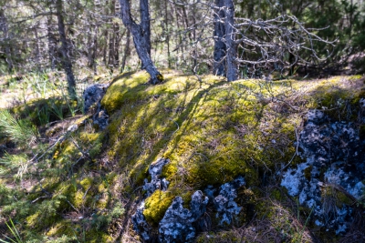 Hoz del Cambron. Valdecabras.-