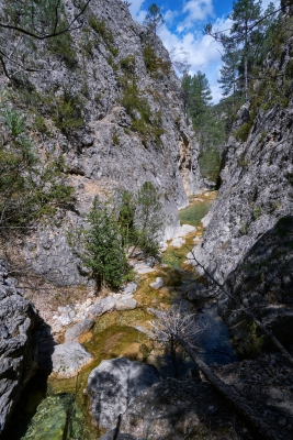 Cuenca Arroyo Frio