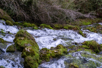 Nacimiento del Cuervo. Cuenca.-