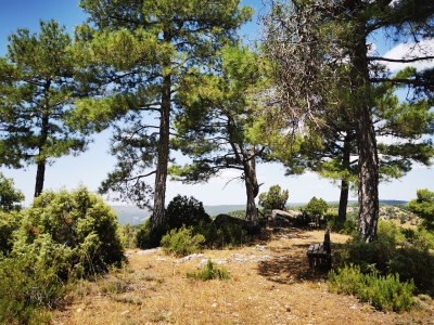 Mirador del Aguila. Carrascosa de la Sierra. __