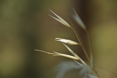 Ruta Turistica. Cuenca_