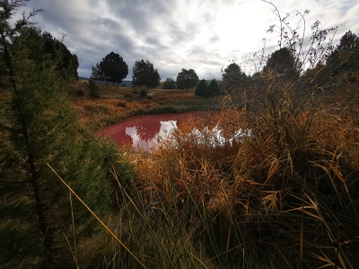 Lagunas de Cañada__