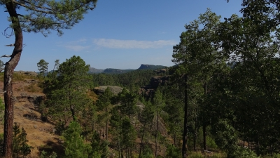 Ceñajo del Arte. Boniches