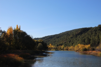 Embalse de Chincha. Puente de Vadillos.