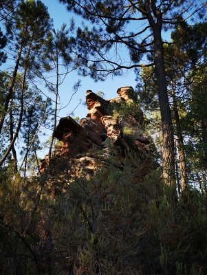 Miradores. Corbeteras. Pajaroncillo__