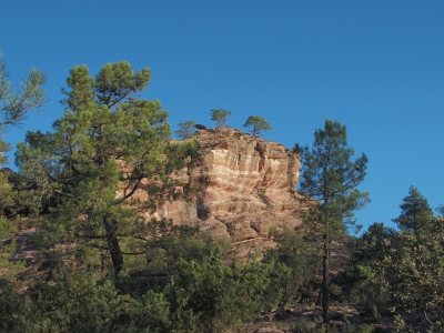 Corbeteras. Pajaroncillo