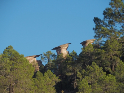 Corbeteras. Pajaroncillo