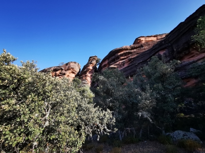 Miradores. Corbeteras. Pajaroncillo__