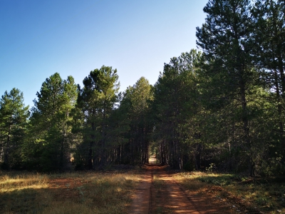 Mirador de Tragavivos. Carrascosa de la Sierra. __