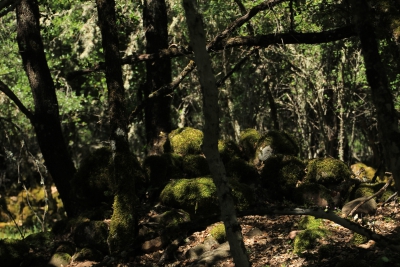 Los Casares. Valdemoro de la Sierra_ Los Casares. Valdemoro de la Sierra_