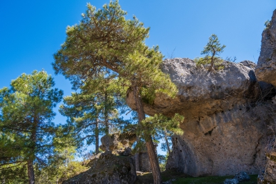 Ciudad Encantada. Cuenca.-
