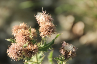 Ruta Turistica. Cuenca_