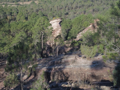 Corbeteras. Pajaroncillo