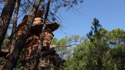 Corbeteras. Pajaroncillo