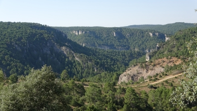 Entre Herreria y Carrascosa. Vista Panoramica