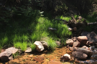 Pozo Batanero. Valdemoro de la Sierra_