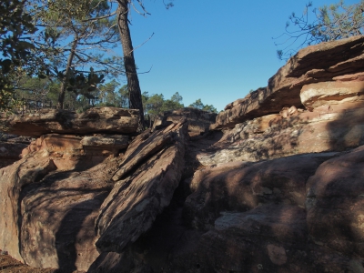 Corbeteras. Pajaroncillo