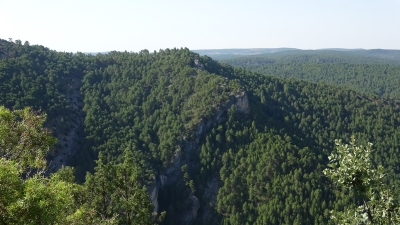 Entre Herreria y Carrascosa. Vista Panoramica