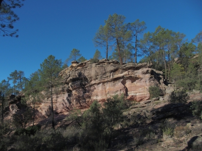 Corbeteras. Pajaroncillo
