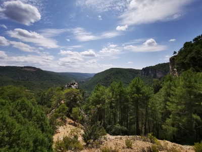 Mirador de Tragavivos. Carrascosa de la Sierra. __