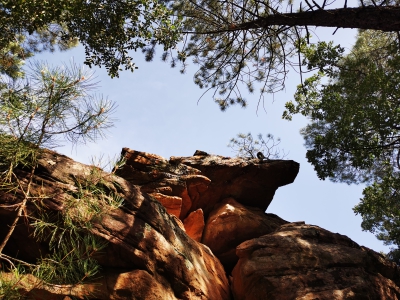 Villar del Humo. Selva Pascuala__ Villar del Humo. Selva Pascuala__